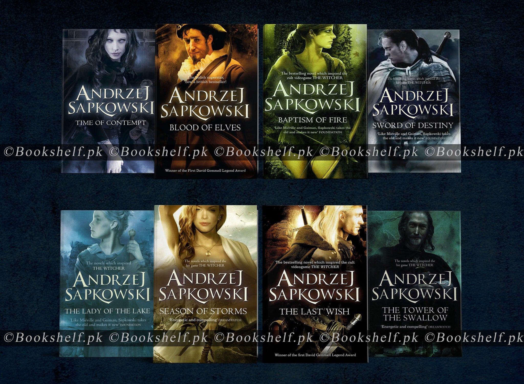 The Witcher 8 Books Series by Andrzej Sapkowski