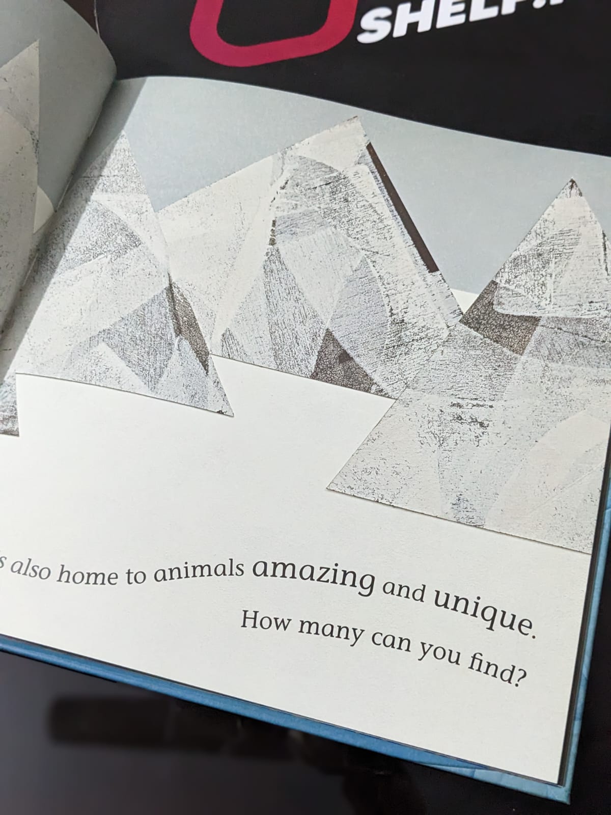 Antarctica - Bookshelf.pk Pakistan