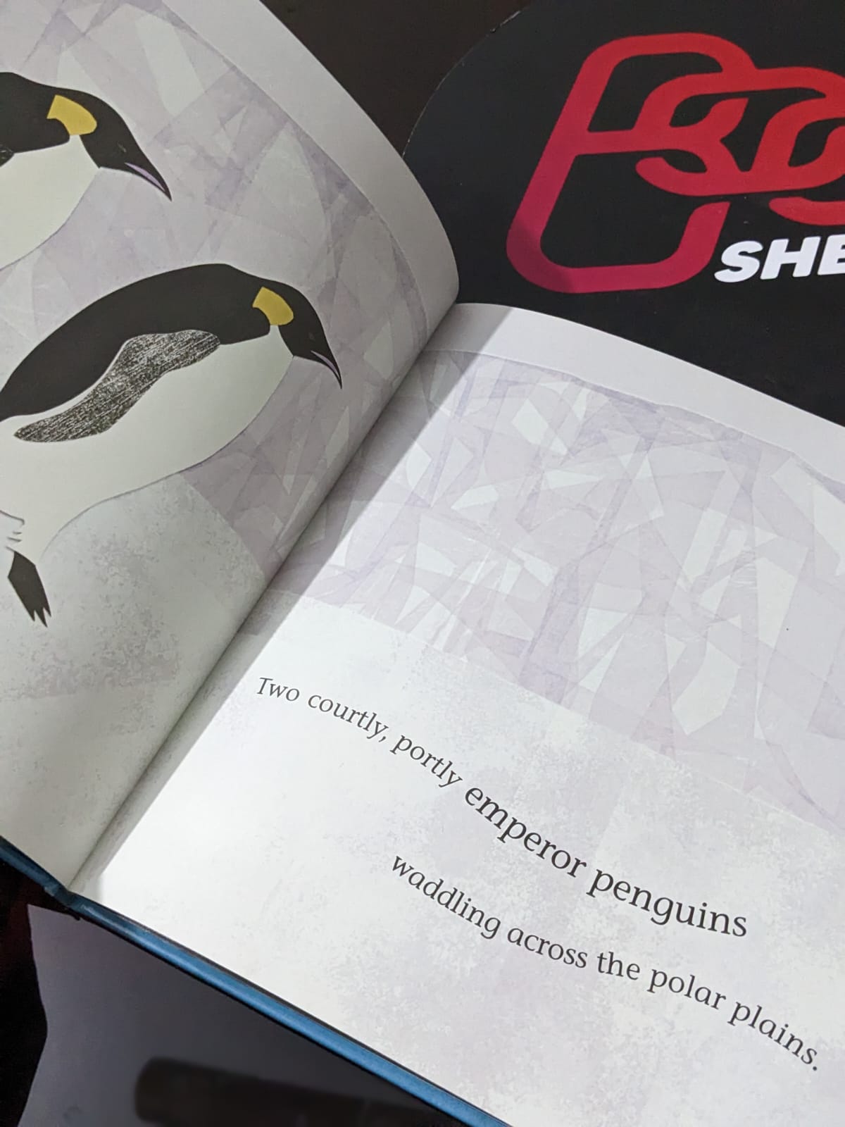 Antarctica - Bookshelf.pk Pakistan