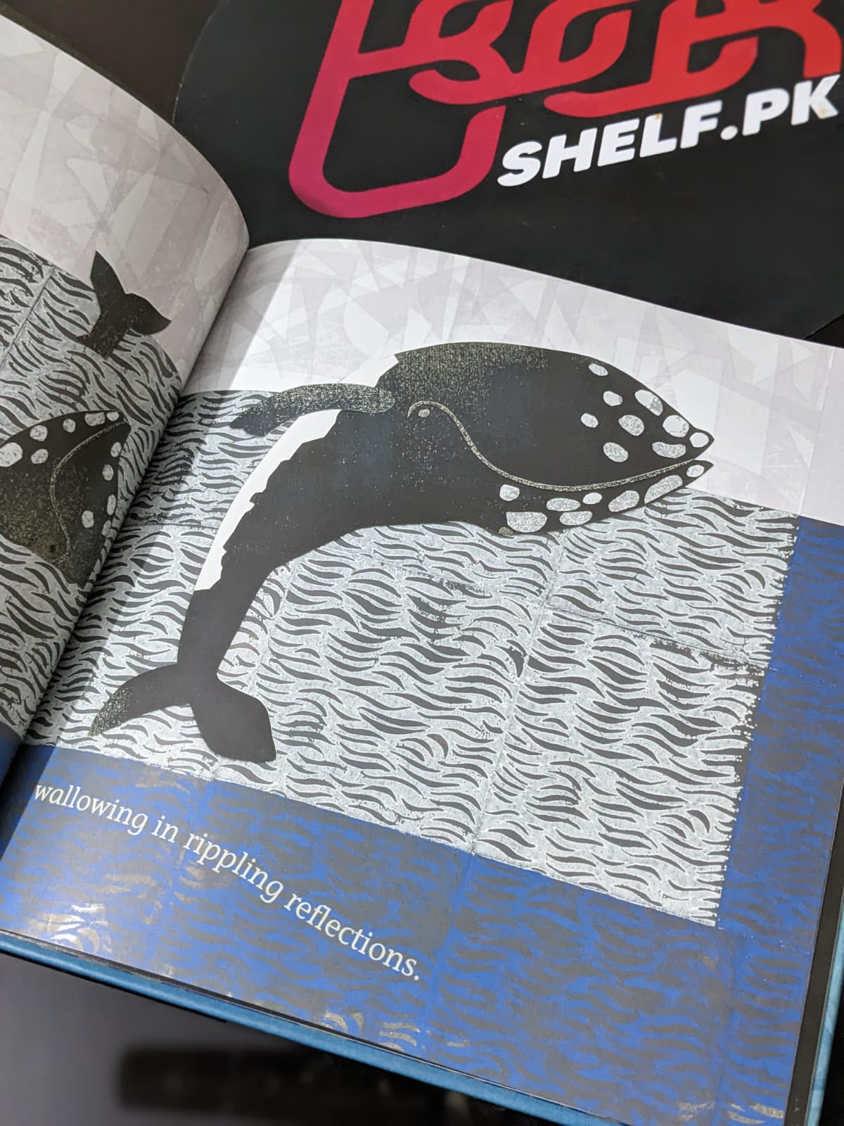 Antarctica - Bookshelf.pk Pakistan