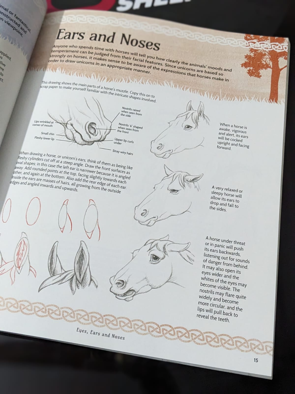 Drawing Unicorn - Bookshelf.pk Pakistan