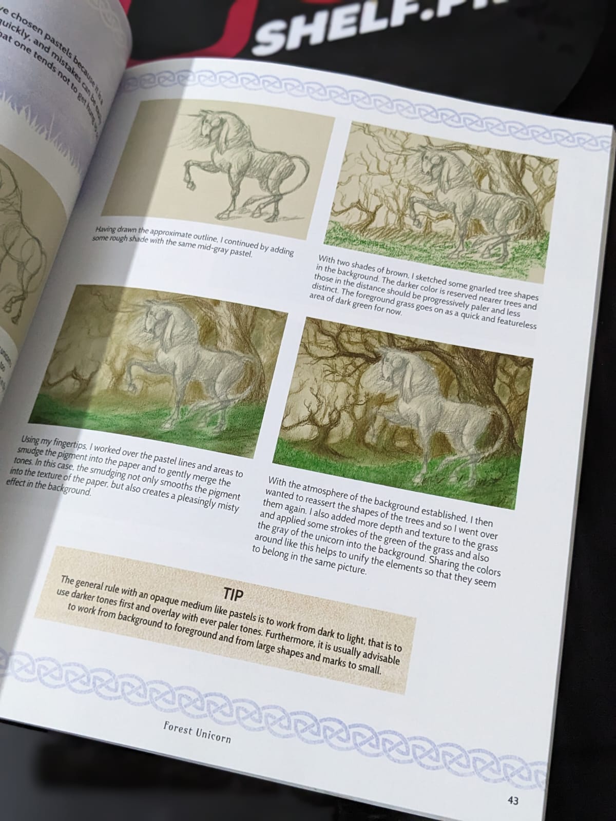 Drawing Unicorn - Bookshelf.pk Pakistan