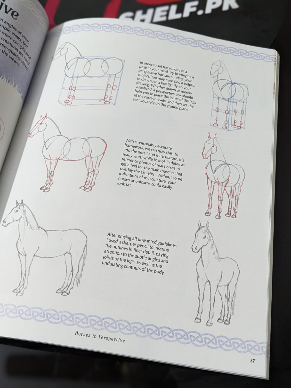 Drawing Unicorn - Bookshelf.pk Pakistan