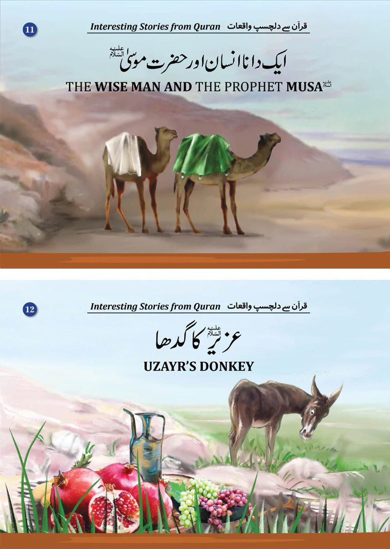 Interesting Stories from Quran (12 Books Box Set) - Bookshelf.pk Pakistan