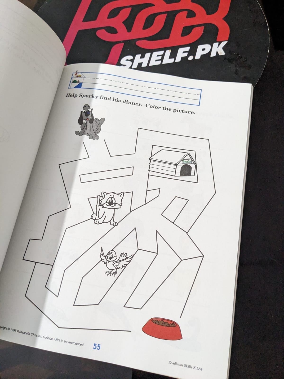 Readiness Skills K - Bookshelf.pk Pakistan