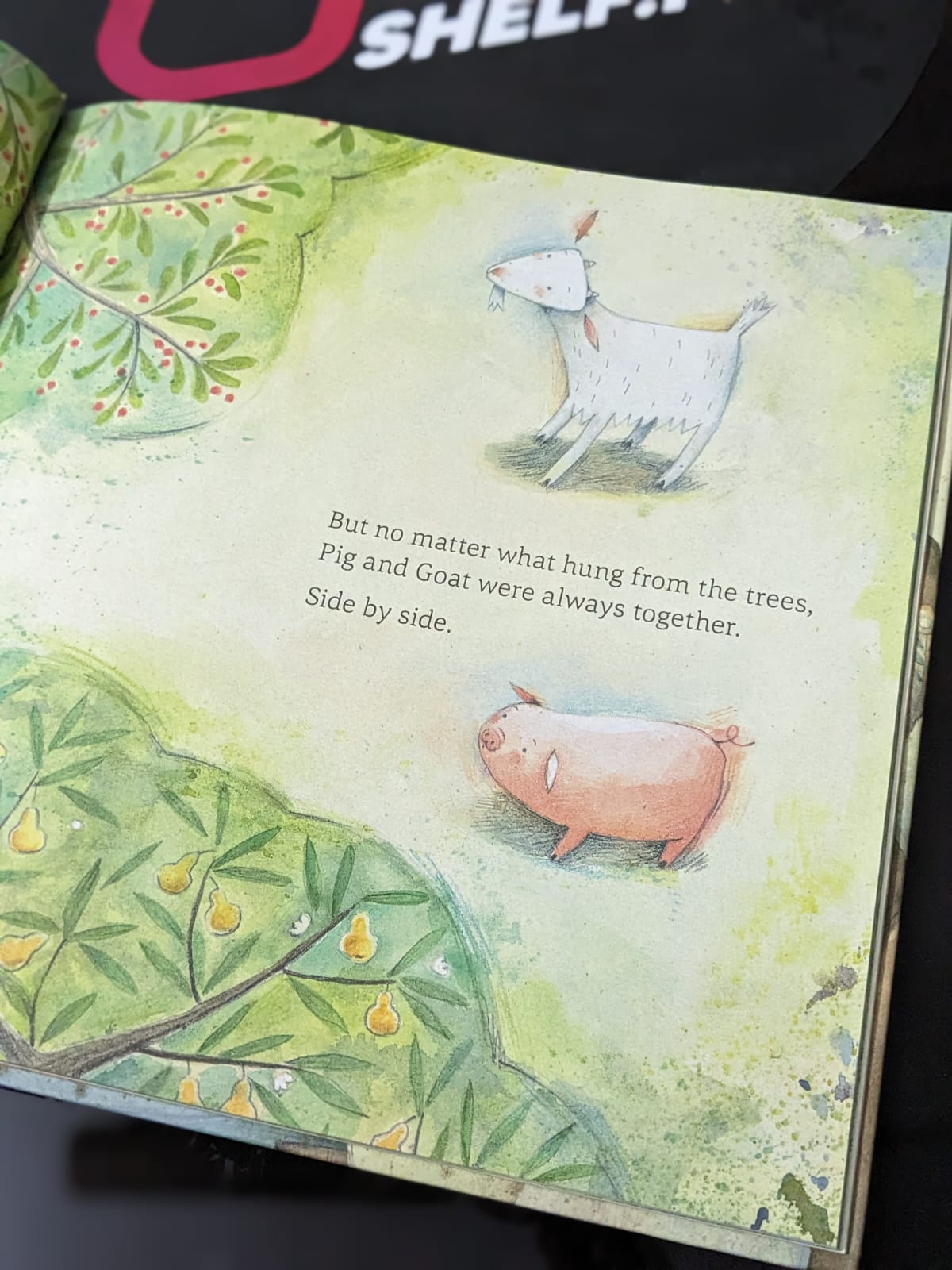 Together Always - Bookshelf.pk Pakistan